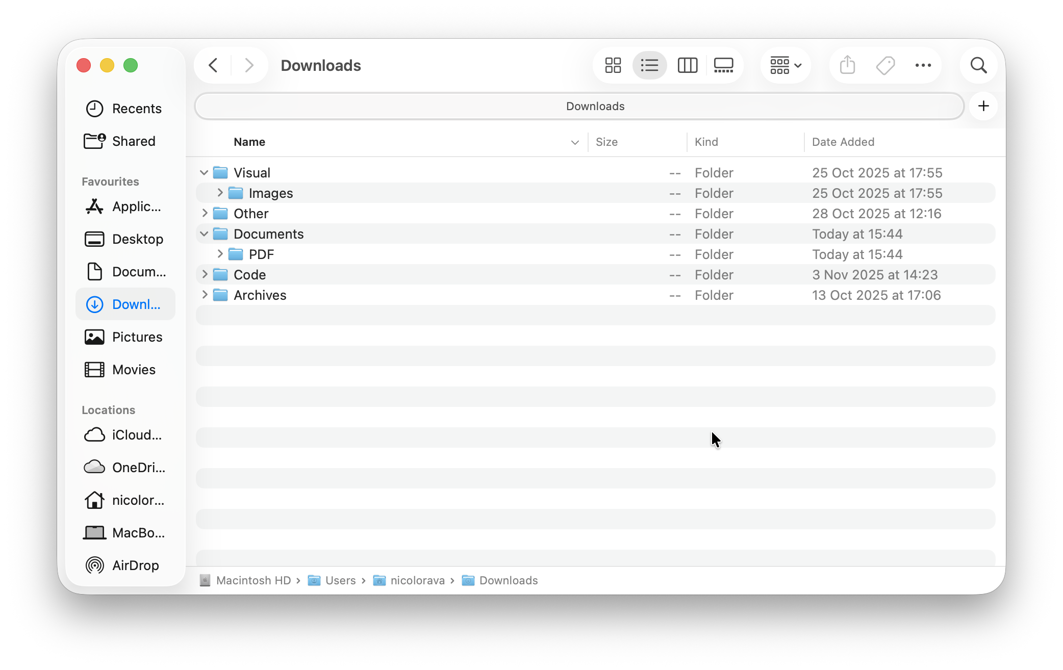 Organized Mac Downloads folder with category-based folder structure